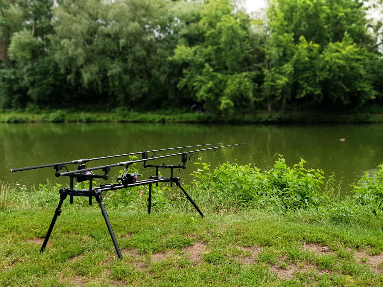 Fishing rods set by a peaceful river amidst lush greenery, ideal for outdoor enthusiasts.